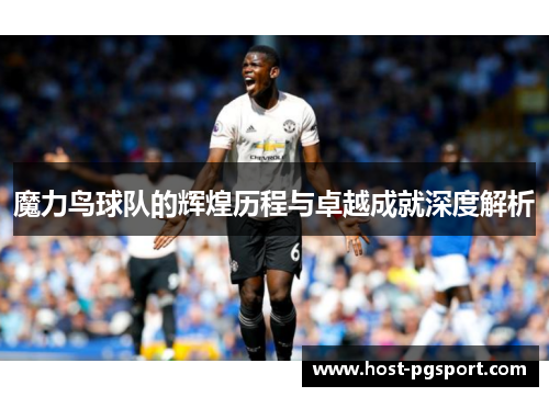 魔力鸟球队的辉煌历程与卓越成就深度解析